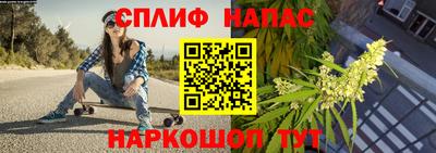 амф Пенза