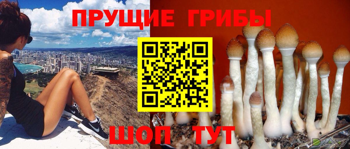 Улан-Удэ  Галлюциногенные грибы мицелий  Псилоцибиновые грибы мицелий  Вход с VPN 