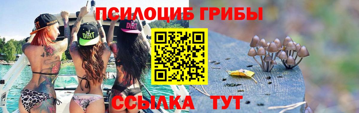 Галлюциногенные грибы Cubensis Улан-Удэ